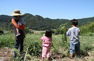 日々の暮らしは発見そのもの。里山で生きるということ。